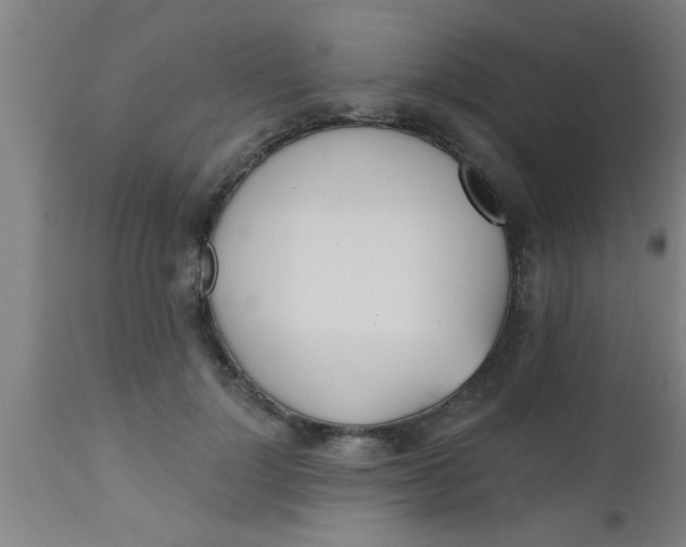 X0000112540748200909071421