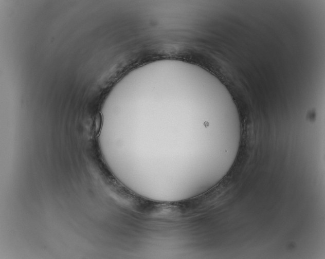 X0000112540750200909071421