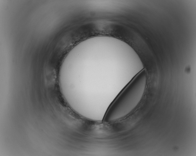 X0000112540752200909071421