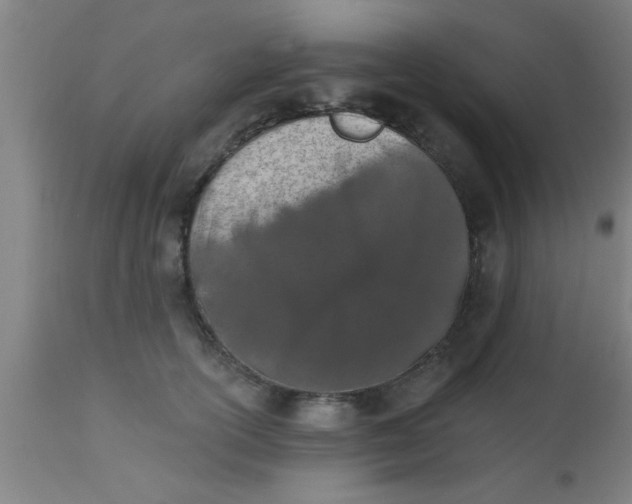 X0000112540754200909071421