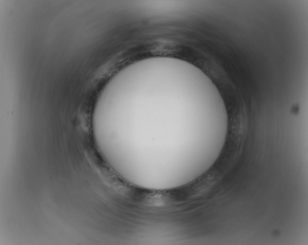 X0000112540755200909071421