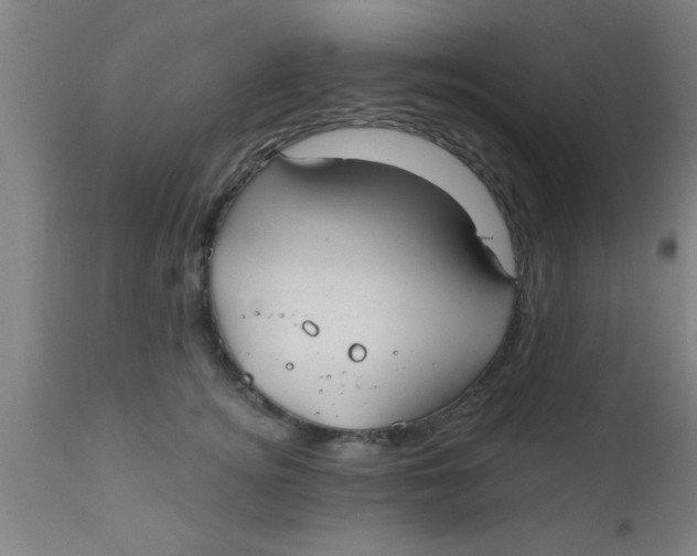 X0000112540756200909071421