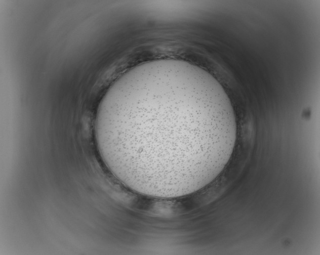 X0000112540757200909071421