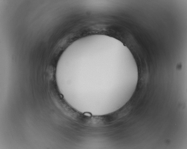 X0000112540758200909071421
