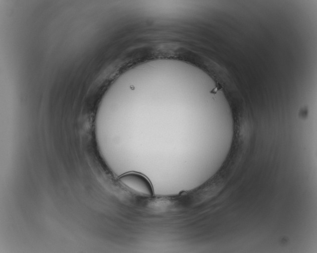 X0000112540759200909071421