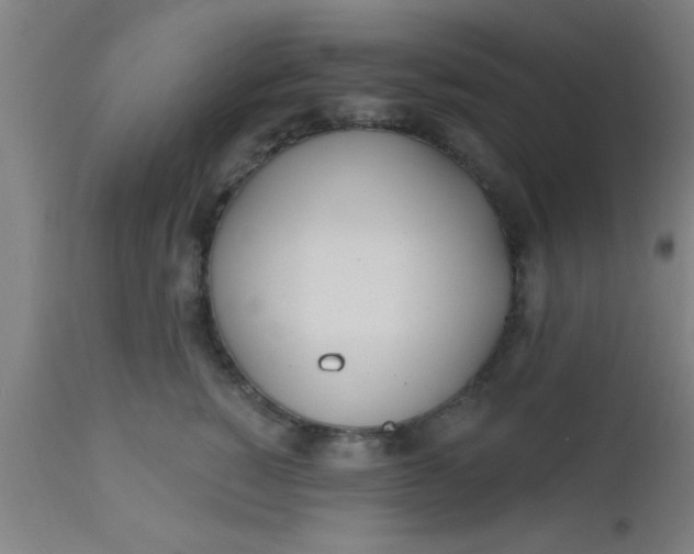 X0000112540760200909071421