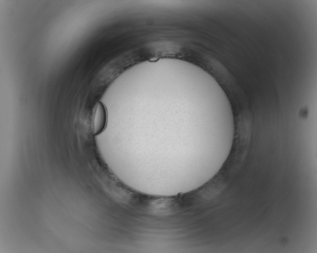X0000112540761200909071421