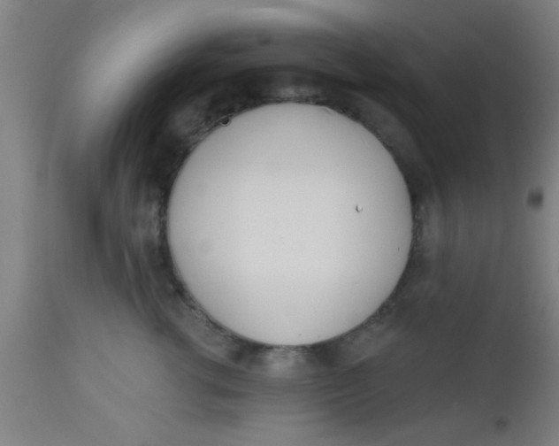 X0000112540762200909071421