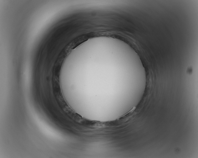 X0000112540764200909071421