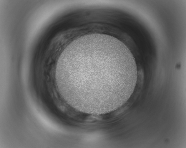 X0000112540765200909071421