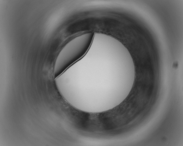 X0000112540766200909071421