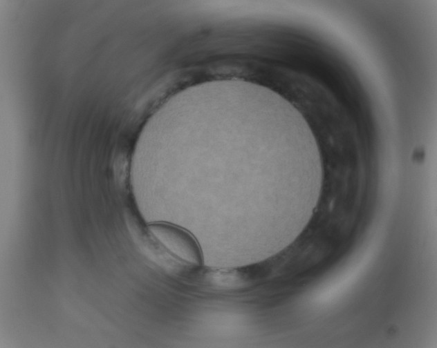 X0000112540767200909071421