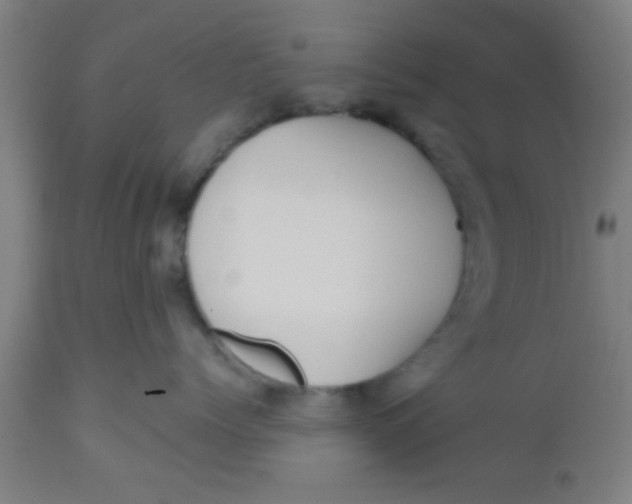 X0000112540768200909071421