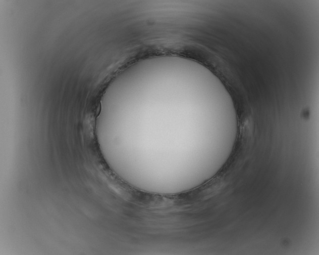 X0000112540772200909071421