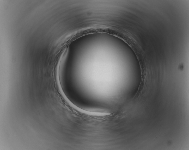 X0000112540773200909071421