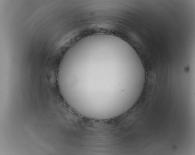X0000112540774200909071421