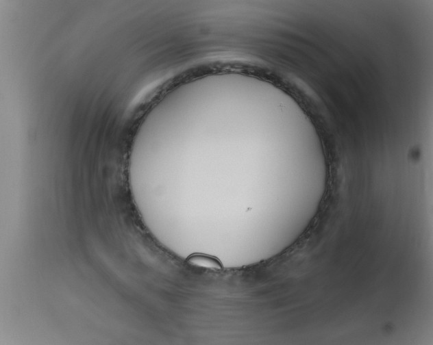 X0000112540775200909071421