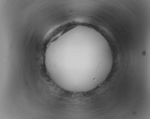 X0000112540776200909071421