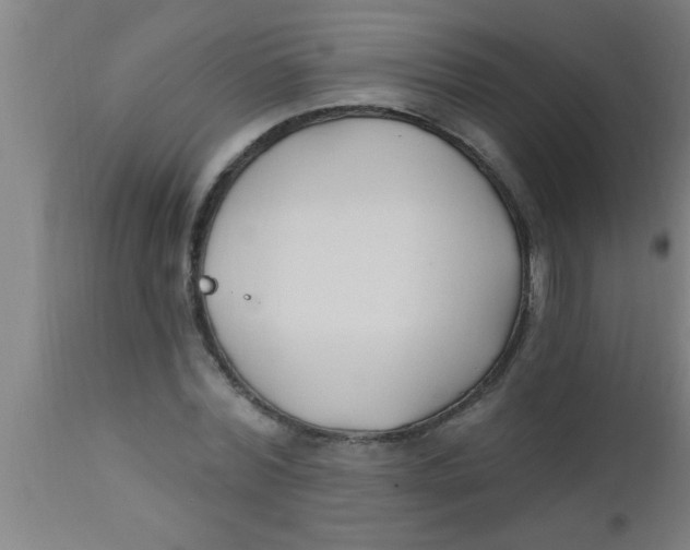 X0000112540780200909071420