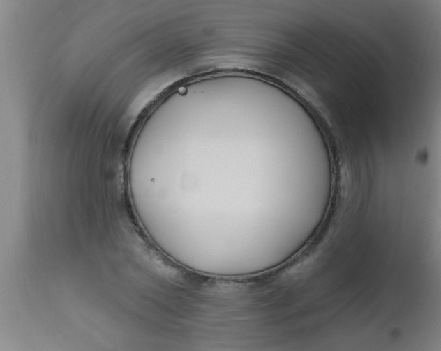 X0000112540782200909071420