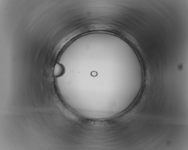 X0000112540786200909071420