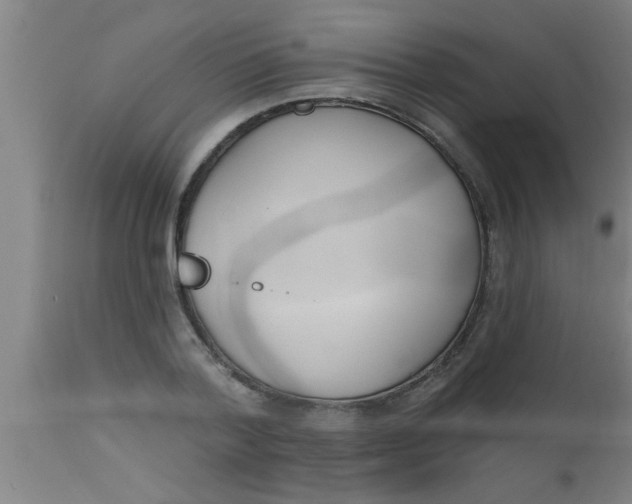 X0000112540788200909071420