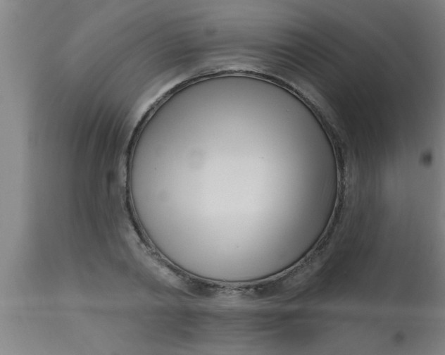 X0000112540790200909071420