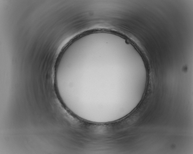 X0000112540791200909071420