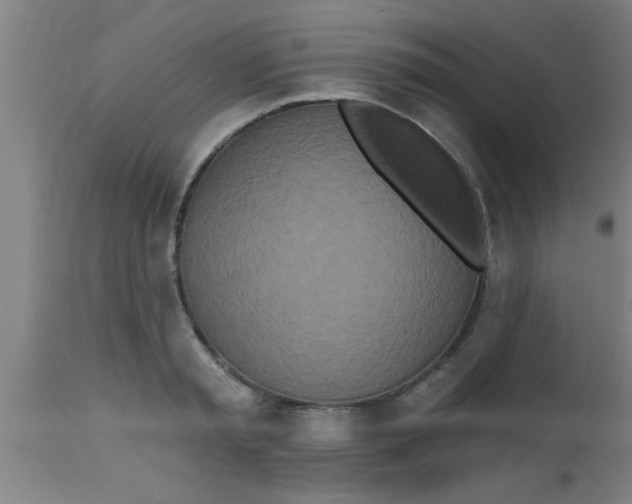 X0000112540797200909071420