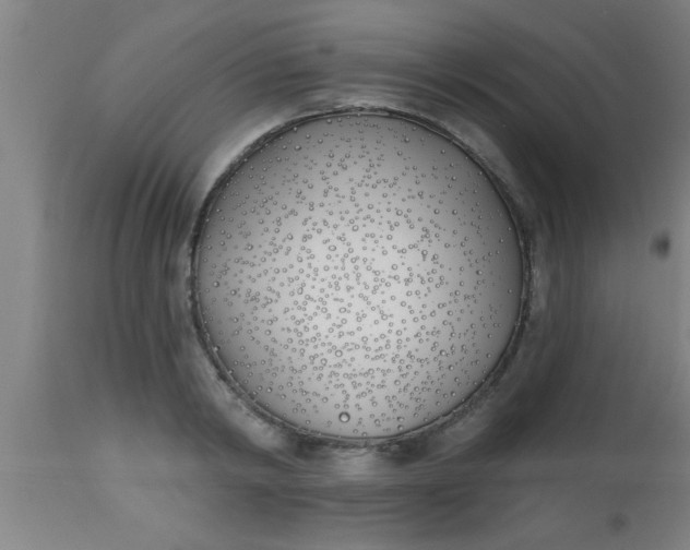 X0000112540798200909071420