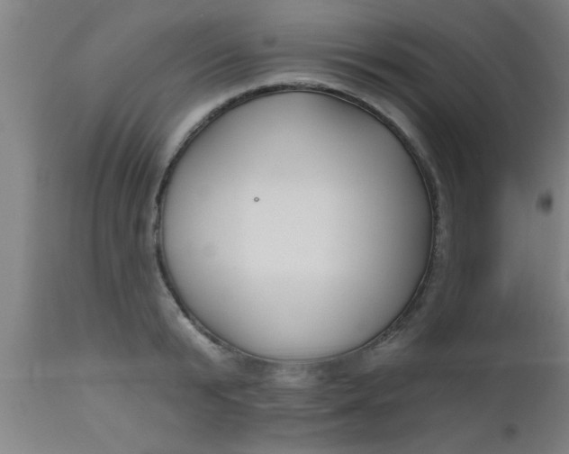 X0000112540799200909071420