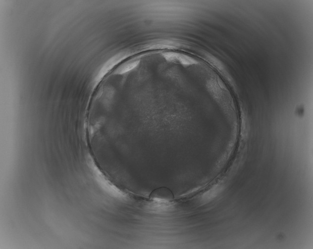 X0000112540802200909071420