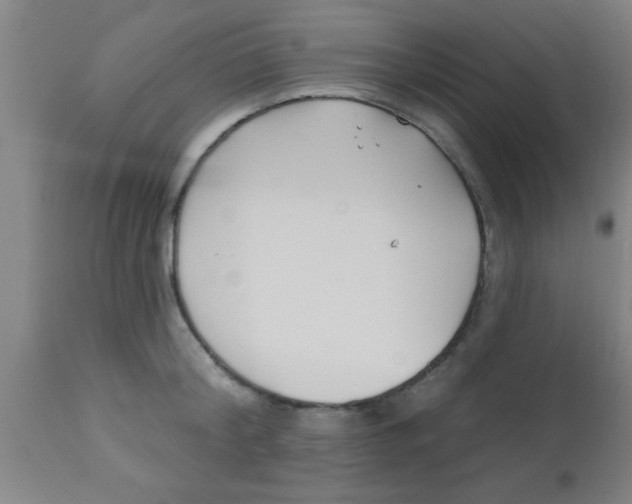 X0000112540804200909071420