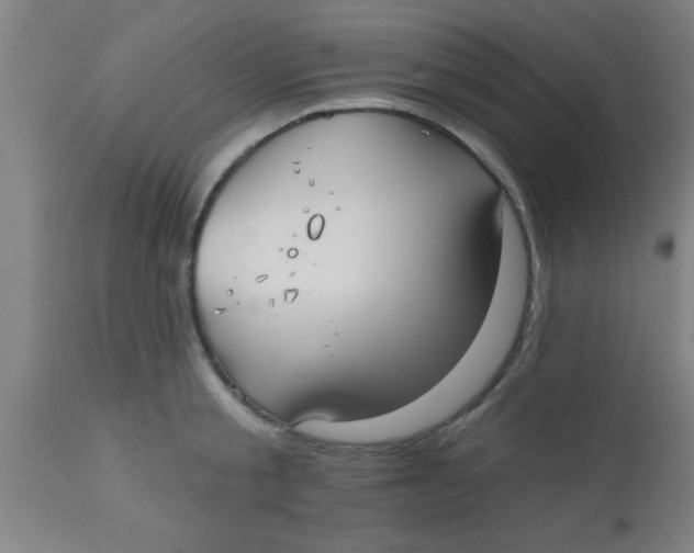 X0000112540805200909071420