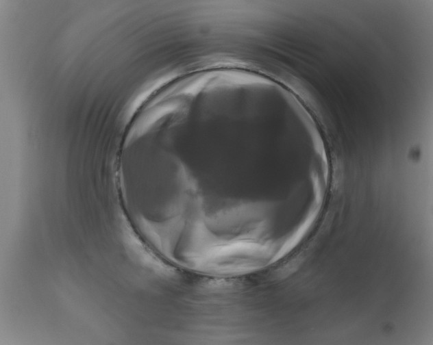X0000112540806200909071420