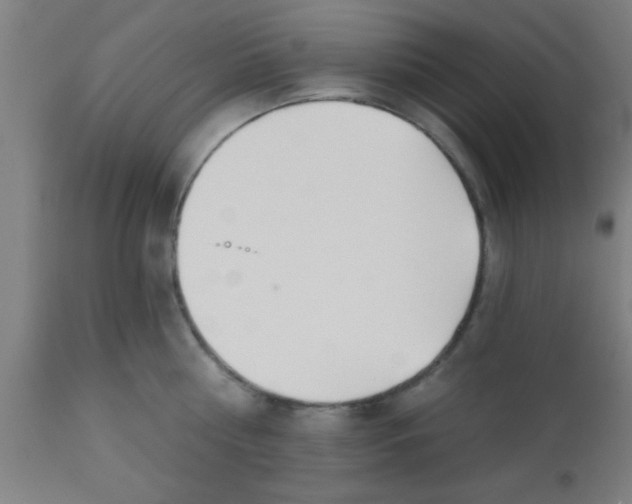 X0000112540810200909071420