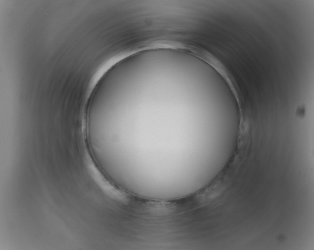 X0000112540811200909071420