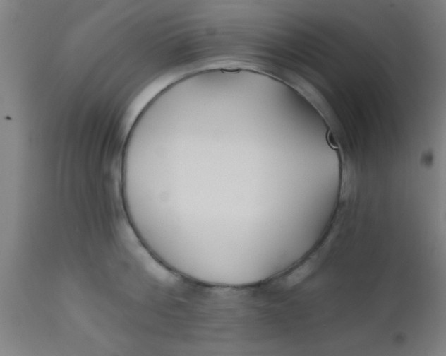 X0000112540812200909071420