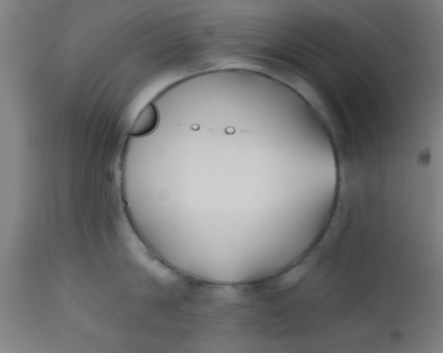 X0000112540814200909071420