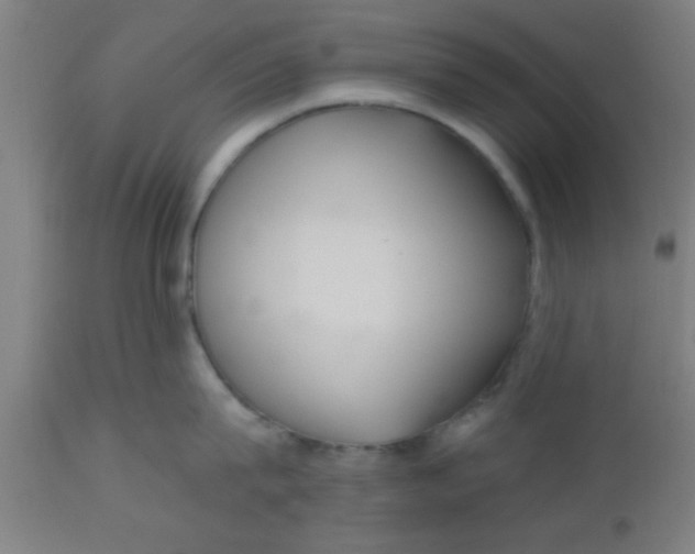 X0000112540815200909071420