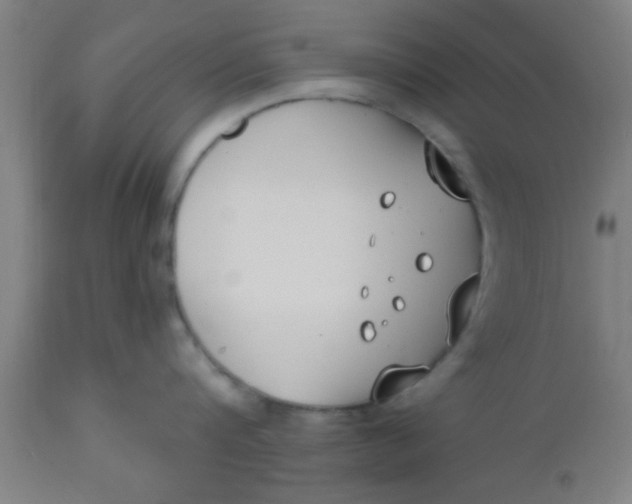 X0000112540816200909071420