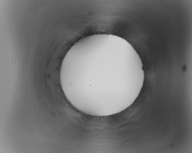 X0000112540817200909071419