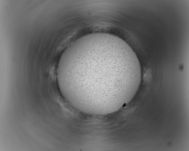 X0000112540819200909071419