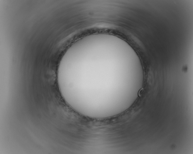 X0000112540821200909071419
