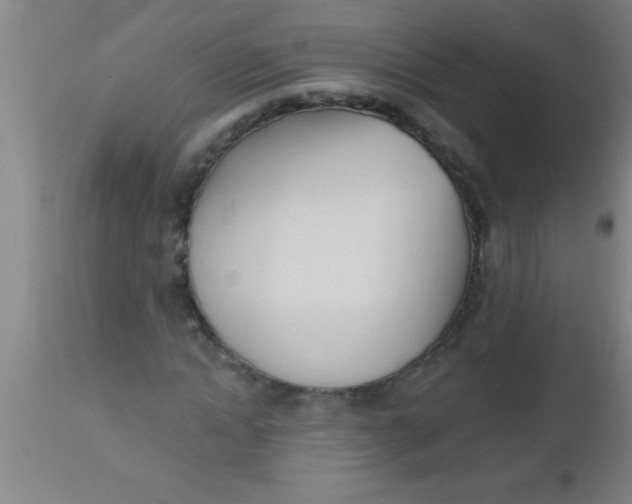 X0000112540822200909071419