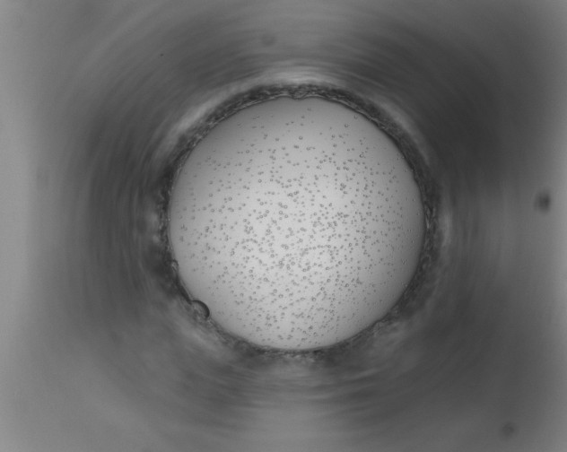 X0000112540823200909071419