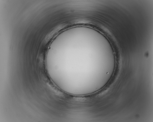 X0000112540825200909071419