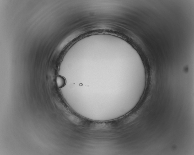 X0000112540826200909071419