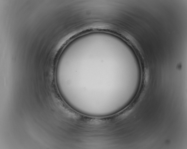 X0000112540829200909071419