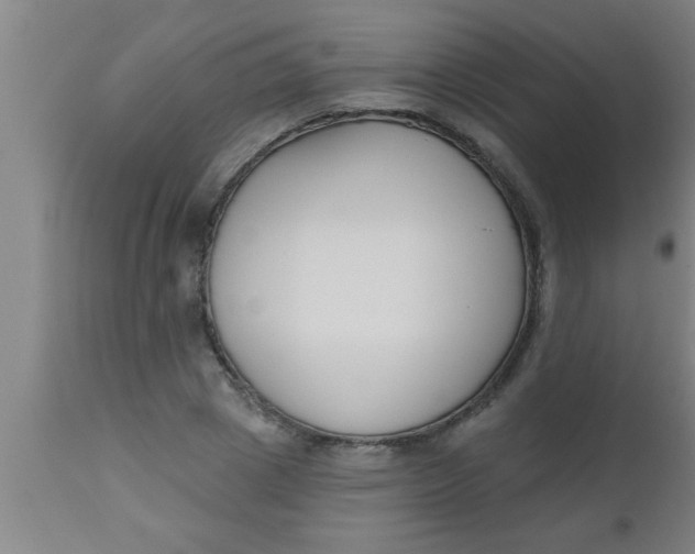X0000112540833200909071420